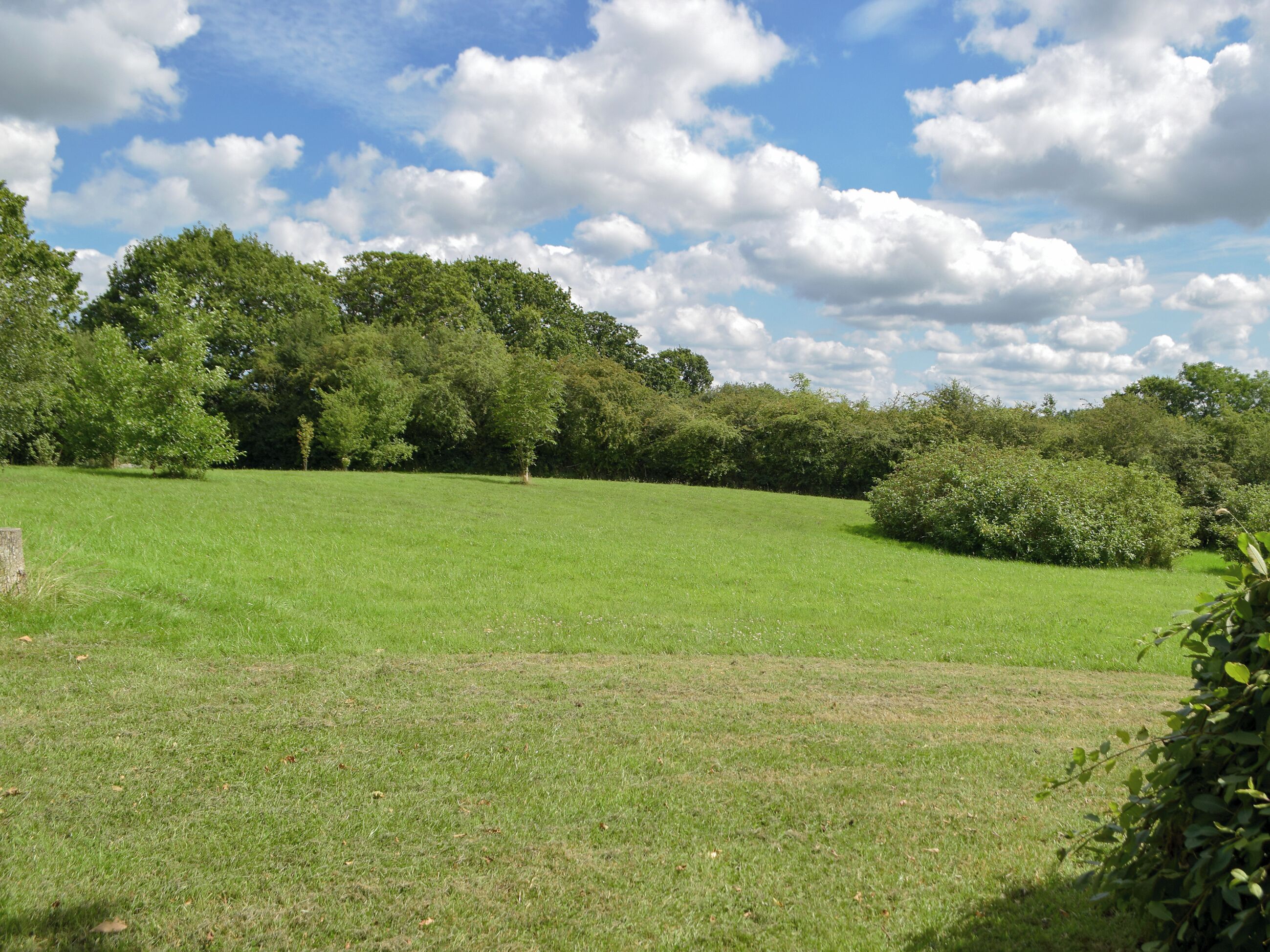 A grassy field with trees and bushes, under a partly cloudy sky.