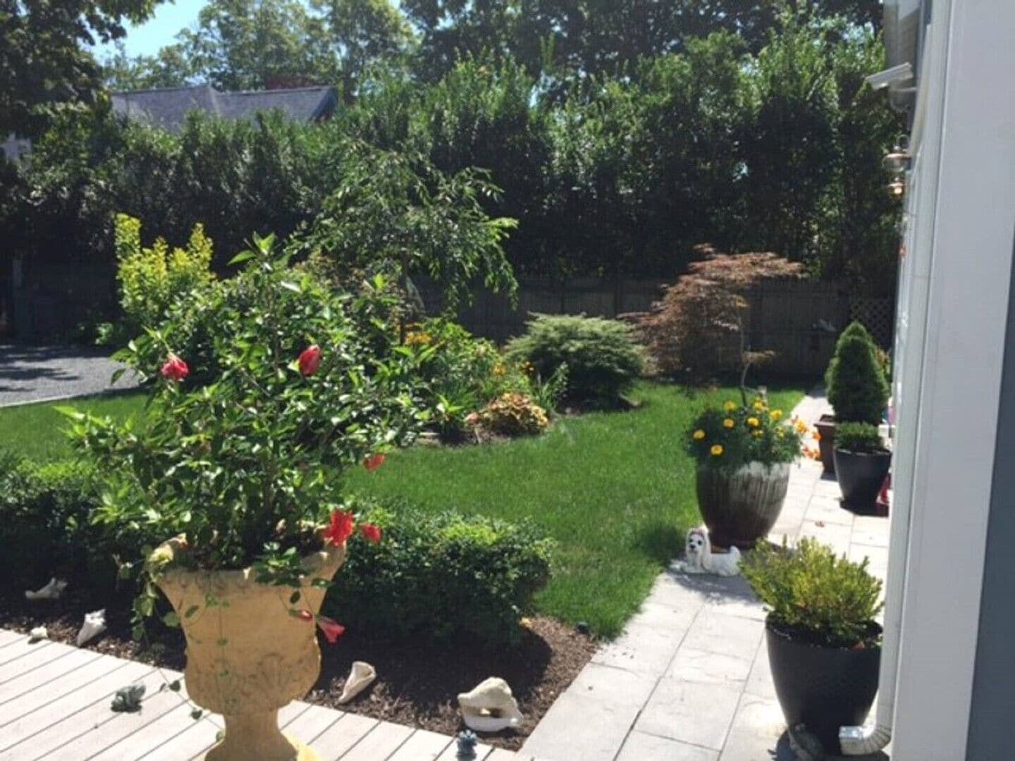 Un jardin avec des plantes en pot, une pelouse et un chemin.