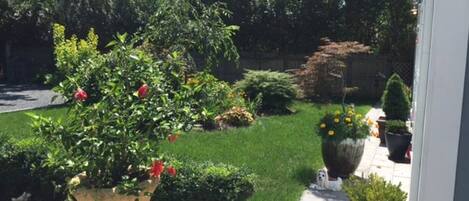 Un jardin avec des plantes en pot, une pelouse et un chemin.
