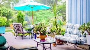Une terrasse couverte avec une table, des chaises, un canapé et des plantes en pot.