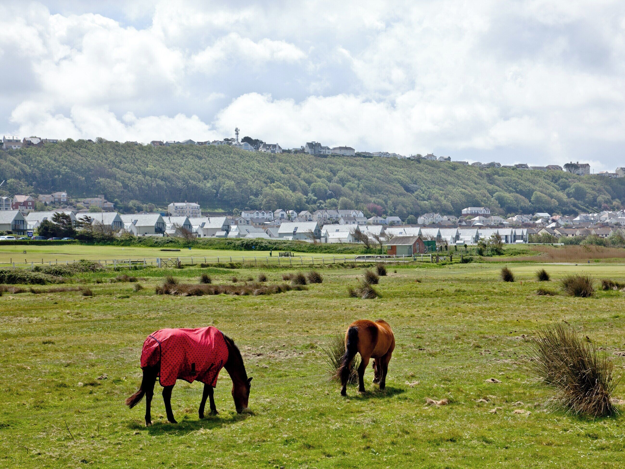 Paisaje rural con dos caballos pastando en un campo, un pueblo lejano y una colina con construcciones.