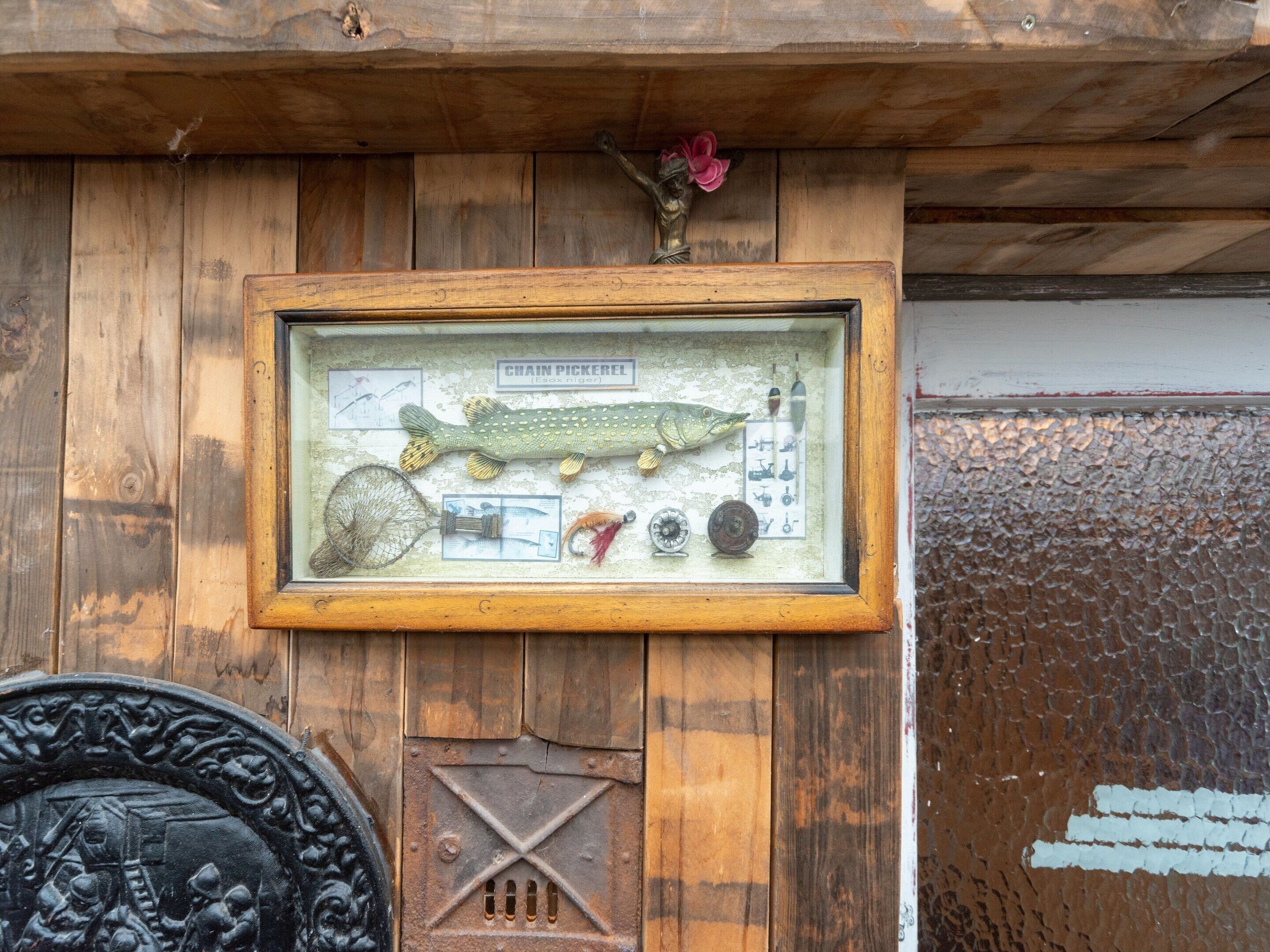 Un tableau encadré illustrant différentes espèces de poissons, accompagné d’une maquette de poisson et d’accessoires de pêche.