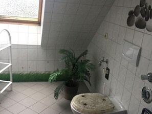 Apartment | Badezimmer | Dusche, Haartrockner