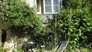 A garden with a variety of plants and flowers, a chair, and a building with a window in the background. - Villa With Garden on the Edge of the Forest (Bad Doberan)