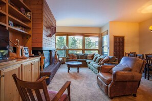 Televisión, chimenea, reproductor de DVD y libros 