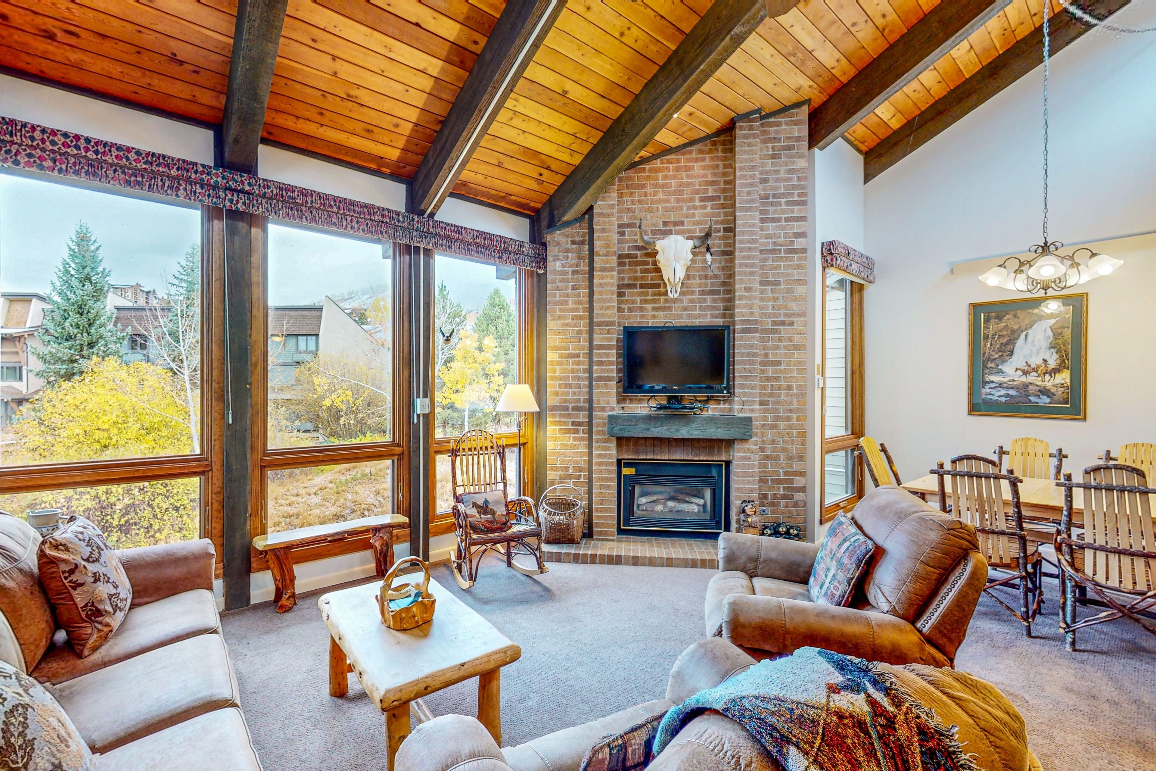 TV, fireplace, DVD player, books