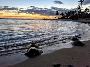 Rannalla, aurinkotuoleja, rantapyyhkeitä