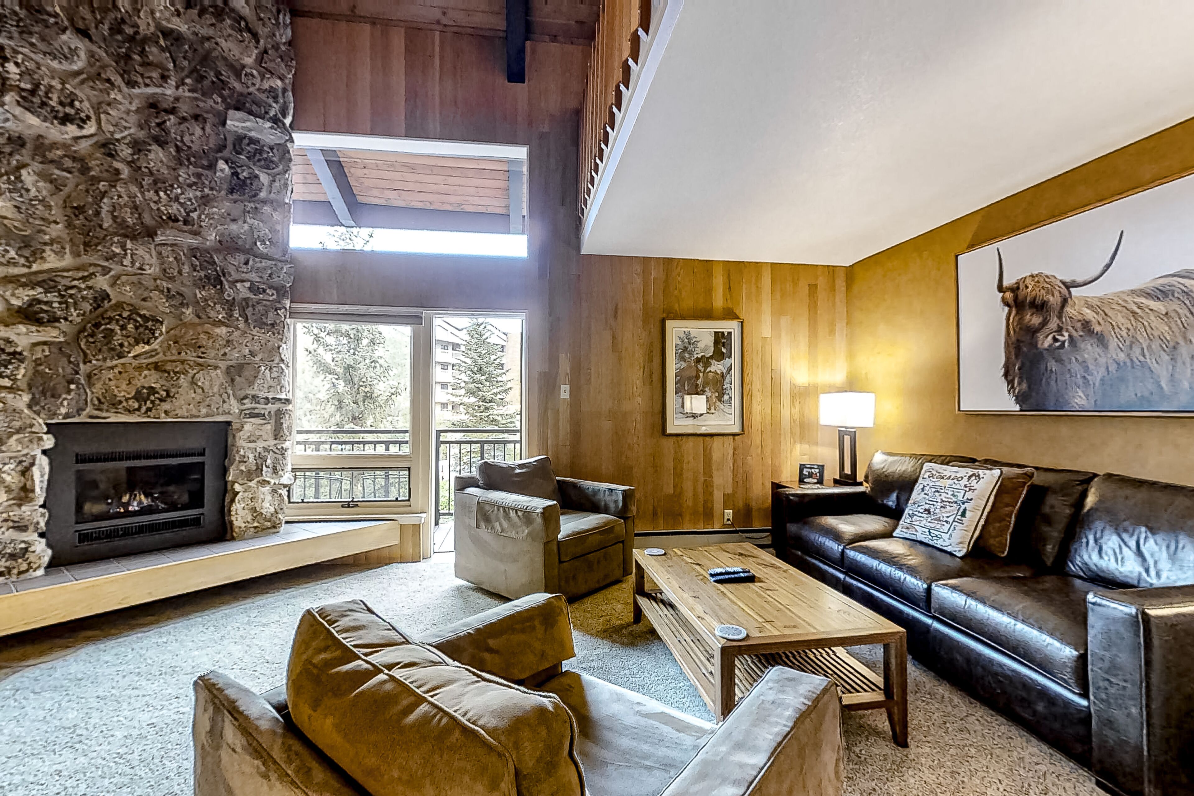 电视、壁炉、DVD 播放器、书