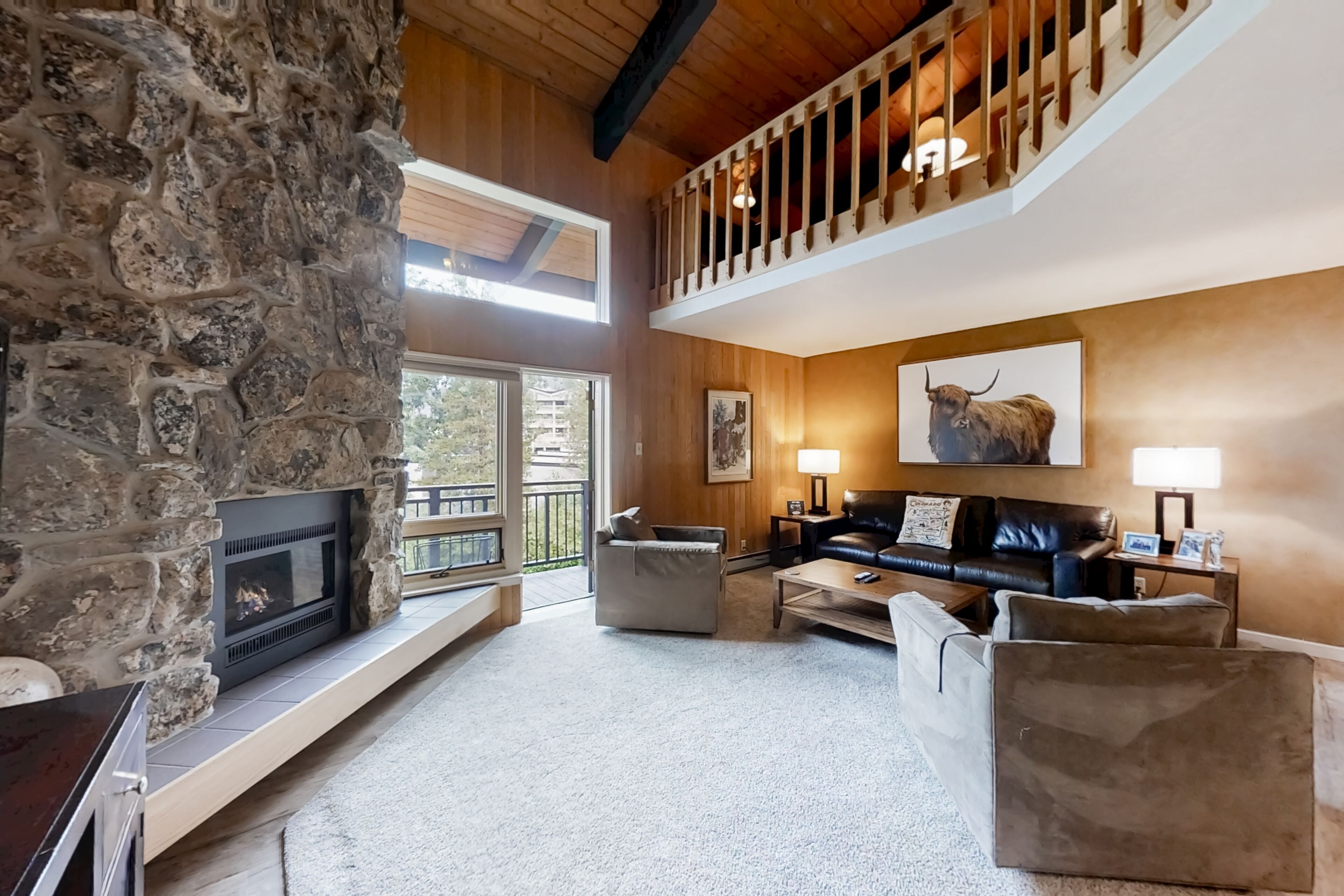 TV, fireplace, DVD player, books