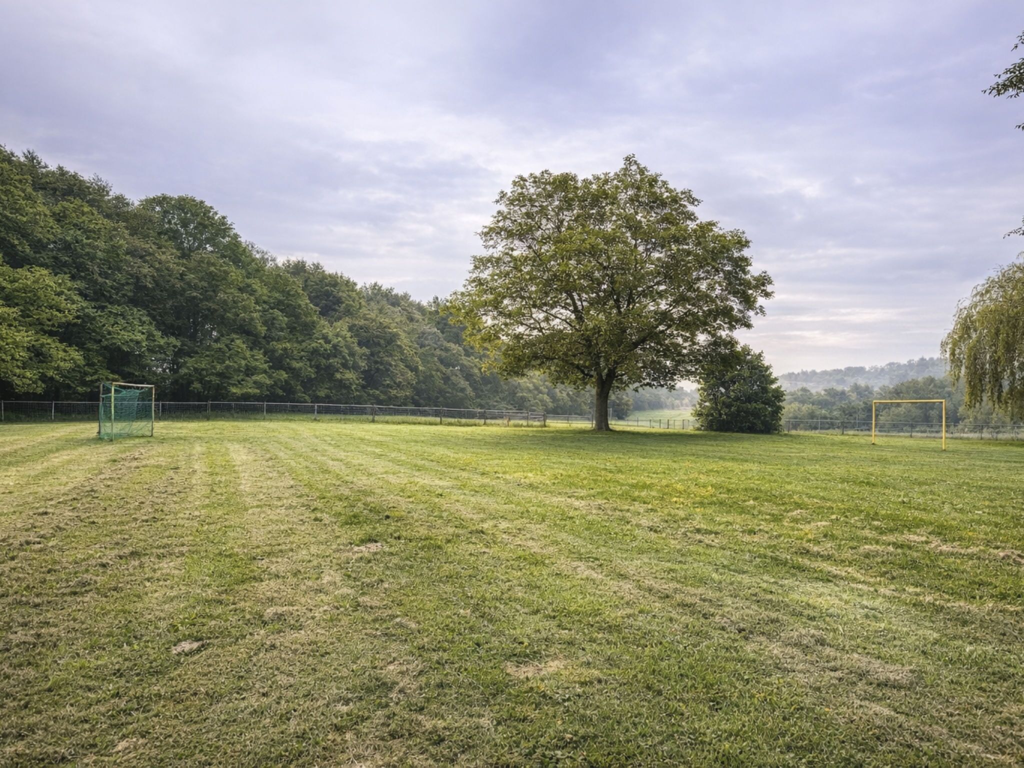 Un campo cubierto de césped con un árbol grande, un arco de fútbol y una cerca.