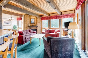 TV, fireplace, DVD player, books