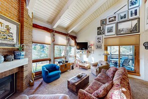 TV, fireplace, DVD player, books