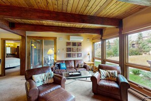 Televisión, chimenea y reproductor de DVD 