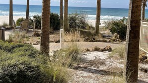 A beach view with palm trees and a sandy area with chairs and a table.