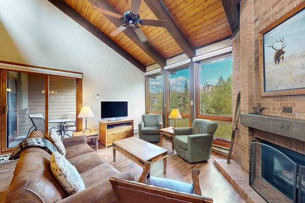 TV, fireplace, DVD player, books