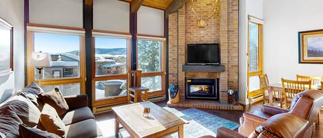 TV, fireplace, DVD player, books