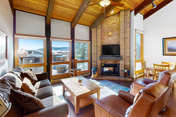 TV, fireplace, DVD player, books