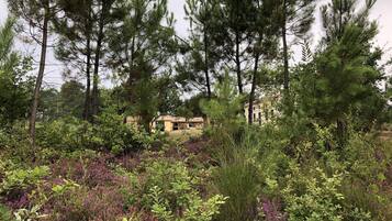 Enceinte de lâhĂ©bergement