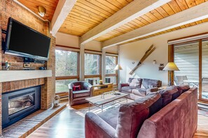 TV, fireplace, DVD player, books