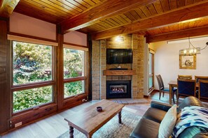 Tv, eldstad, dvd-spelare och ett filmbibliotek