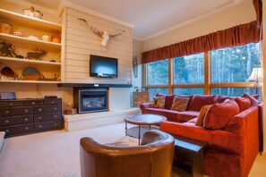 Fernseher, Kamin, DVD-Player