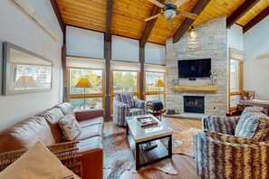 TV, fireplace, DVD player, books