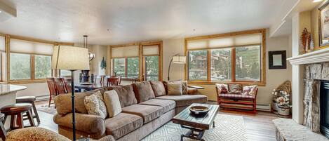 Televisión, chimenea y reproductor de DVD