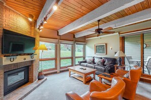 TV, fireplace, DVD player