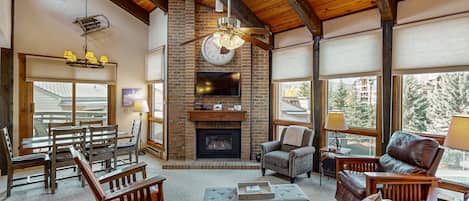 Tv, pejs, dvd-afspiller