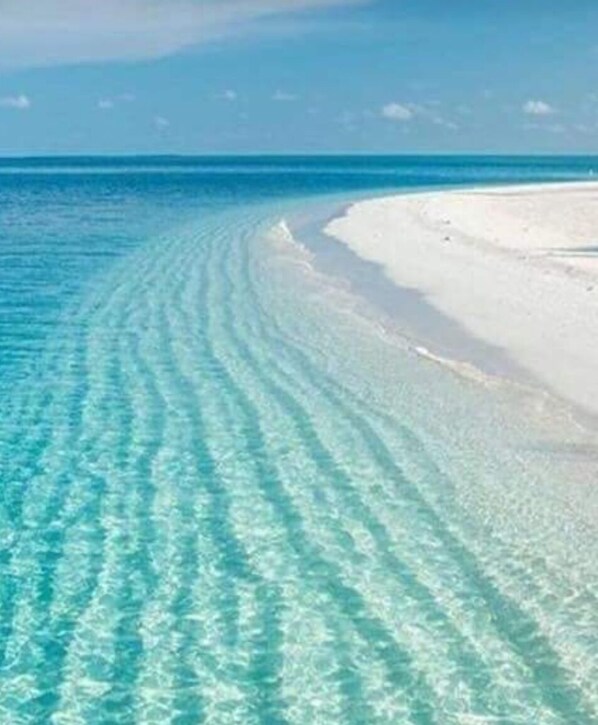 Am Strand, Strandtücher