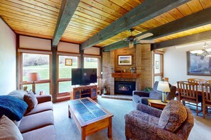 TV, fireplace, DVD player, books