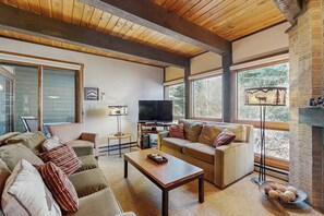 Télévision, cheminée, lecteur de DVD