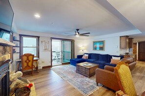 TV, fireplace, books, stereo