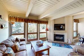 TV, fireplace, DVD player, books