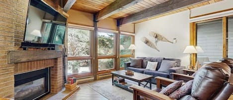 TV, fireplace, DVD player