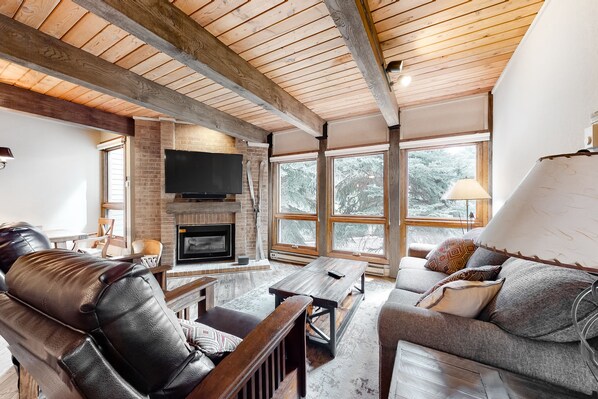 TV, fireplace, DVD player