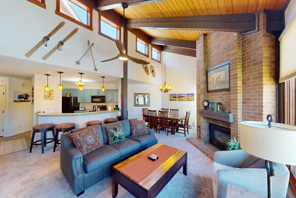 TV, fireplace, DVD player, books