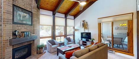 TV, fireplace, DVD player, books