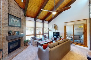 TV, fireplace, DVD player, books