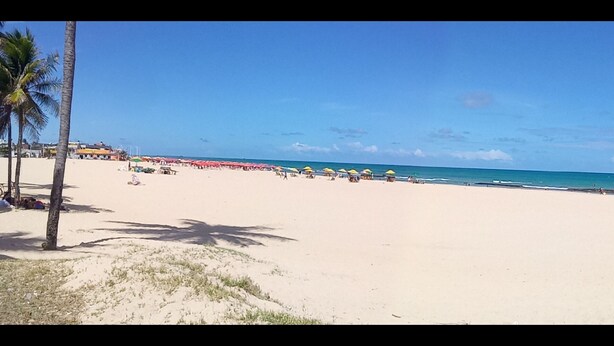 Ein Strand mit Palmen, Sonnenschirmen und blauem Himmel.