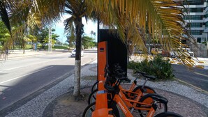 Eine Straße mit einer Reihe orangefarbener Fahrräder, die am Gehweg stehen, einer Palme und einem Gebäude im Hintergrund.