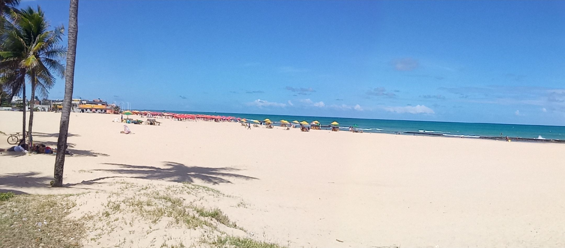 Uma praia com palmeiras, guarda-sóis e céu claro.