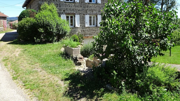 A stone house with white shutters, surrounded by lush greenery and a gravel path.