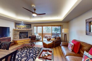 TV, fireplace, DVD player