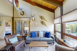 TV, fireplace, DVD player, books