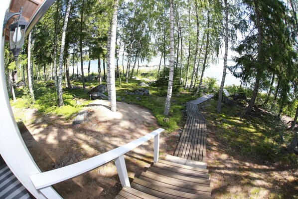 A wooden deck with a white railing, surrounded by a forested area with birch trees and a view of a lake.