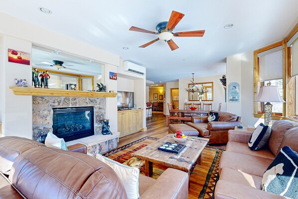TV, fireplace, DVD player, books