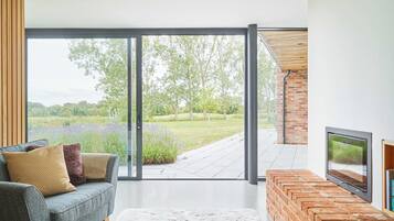 Una Smart TV, una chimenea, un reproductor estéreo