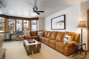 TV, fireplace, books