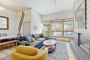 TV, fireplace, DVD player, books